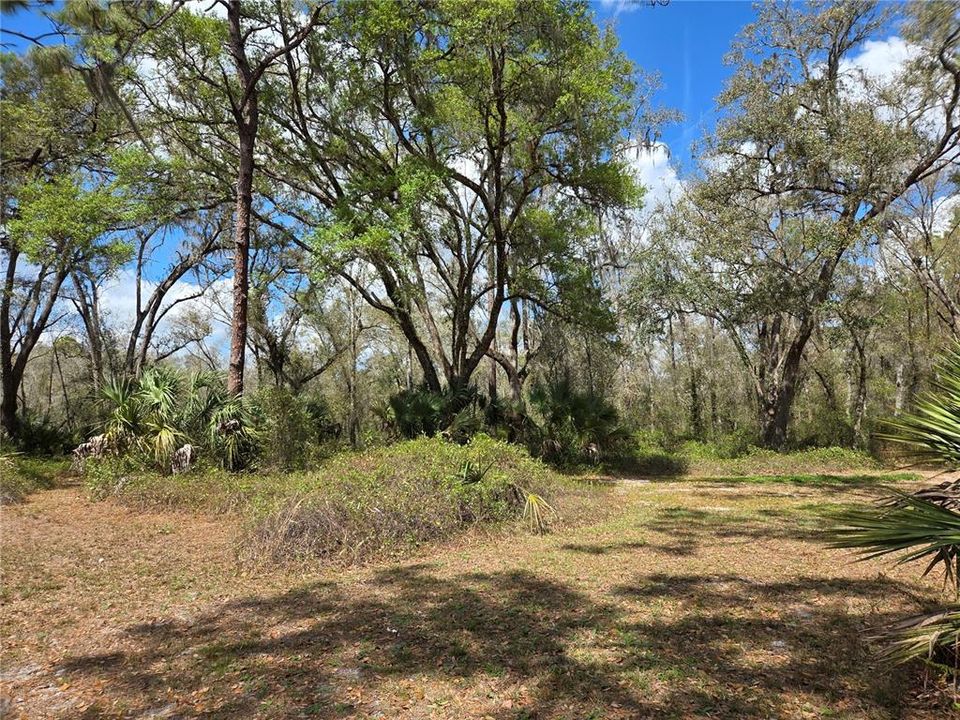 For Sale: $224,900 (2 beds, 1 baths, 552 Square Feet)