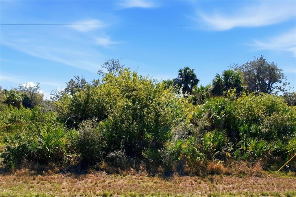 For Sale: $124,900 (0.23 acres)