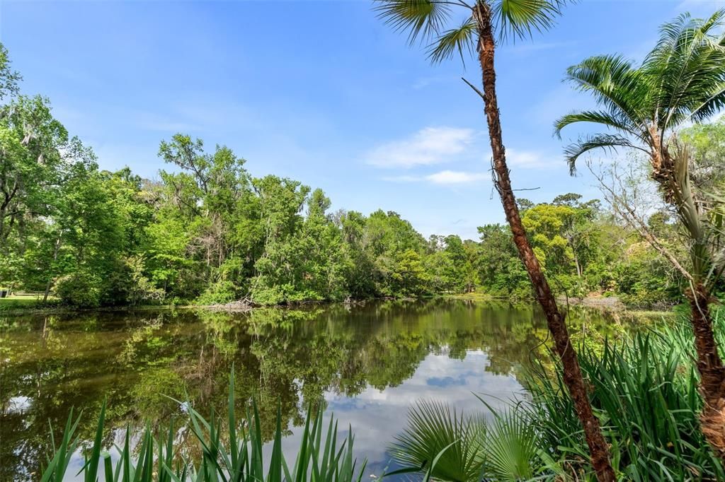 На продажу: $599,900 (3 спален, 2 ванн, 2286 Квадратных фут)