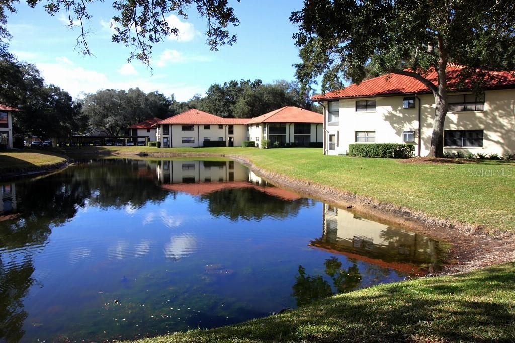 Active With Contract: $165,000 (1 beds, 1 baths, 645 Square Feet)