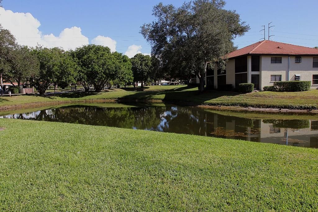 Active With Contract: $165,000 (1 beds, 1 baths, 645 Square Feet)