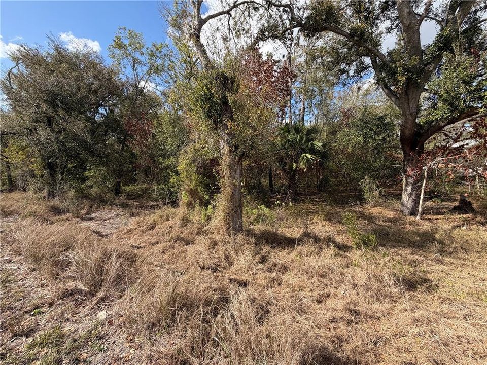 En Venta: $139,900 (0.92 acres)