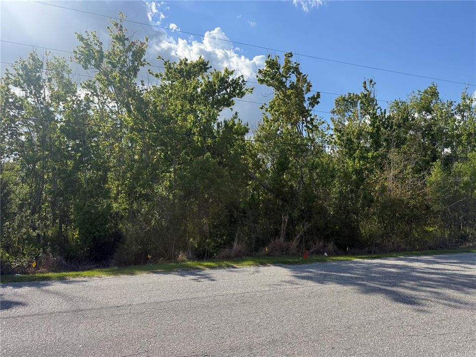 En Venta: $80,000 (4.60 acres)