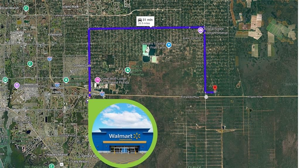 For Sale: $197,000 (5.00 acres)