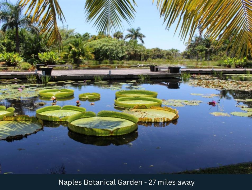 For Sale: $197,000 (5.00 acres)