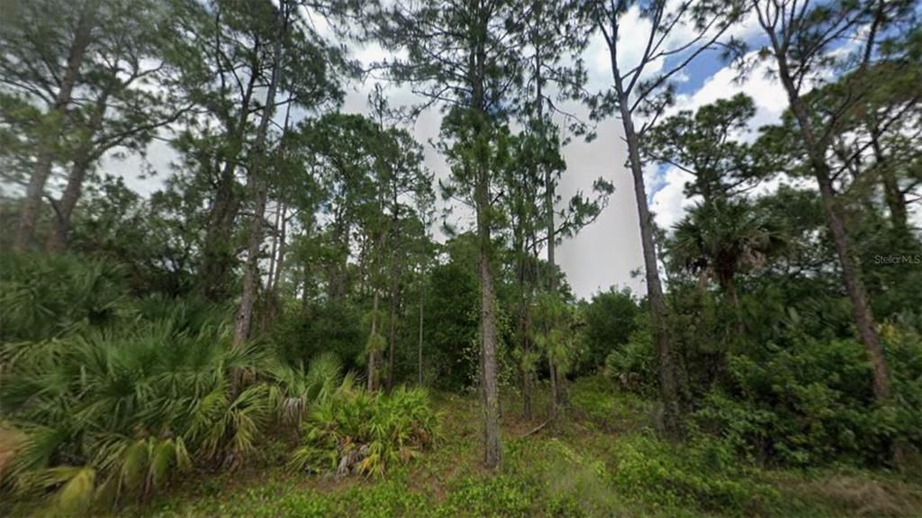 For Sale: $197,000 (5.00 acres)