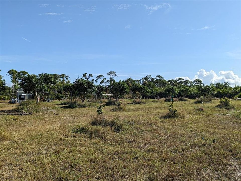 На продажу: $239,000 (2.52 acres)