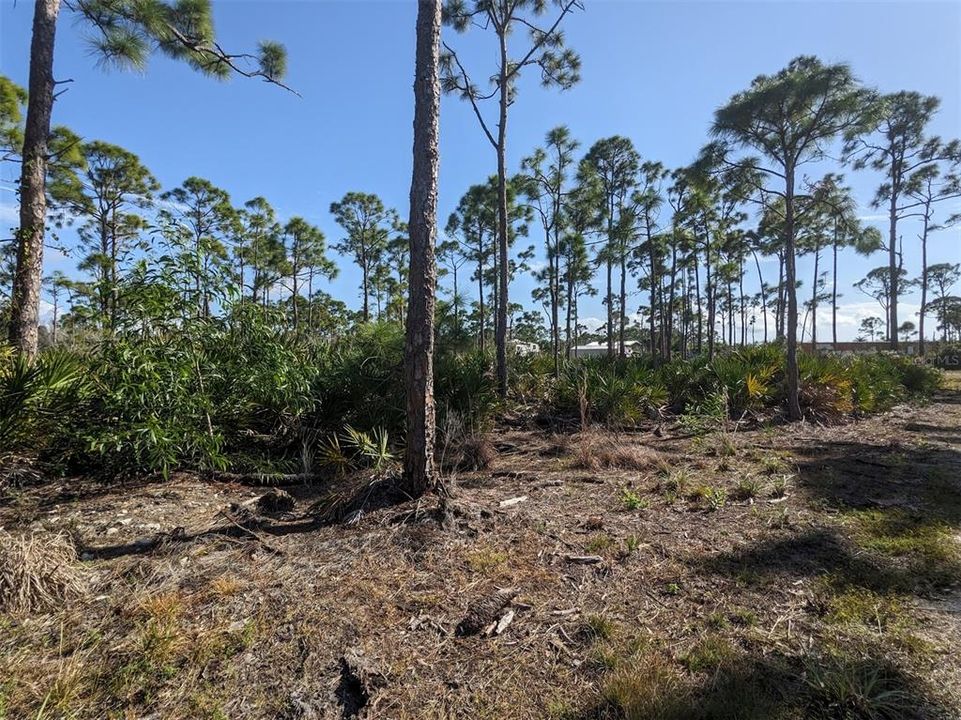 На продажу: $239,000 (2.52 acres)