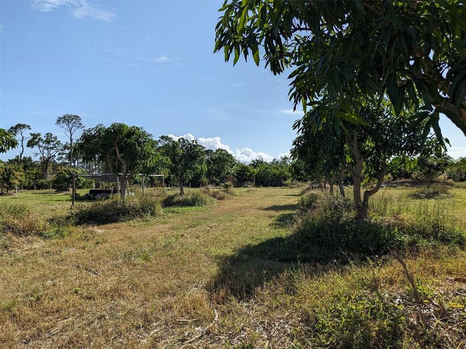 На продажу: $239,000 (2.52 acres)