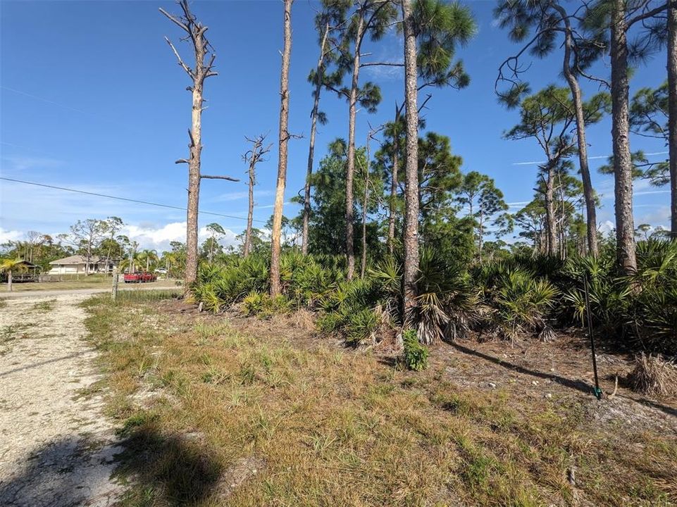На продажу: $239,000 (2.52 acres)