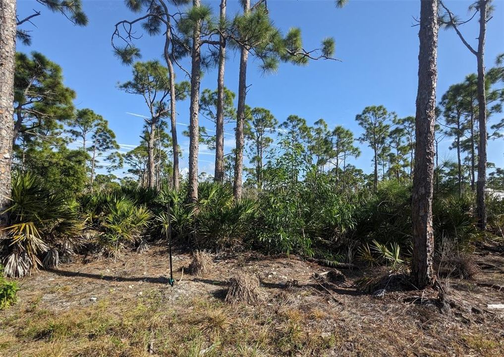 На продажу: $239,000 (2.52 acres)
