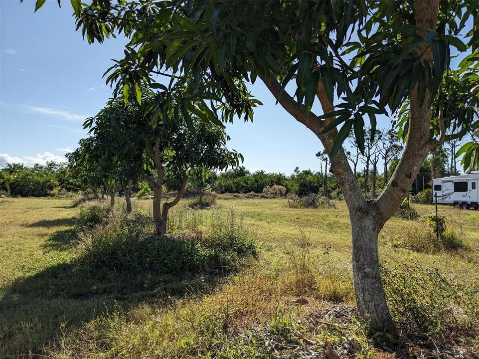 На продажу: $239,000 (2.52 acres)