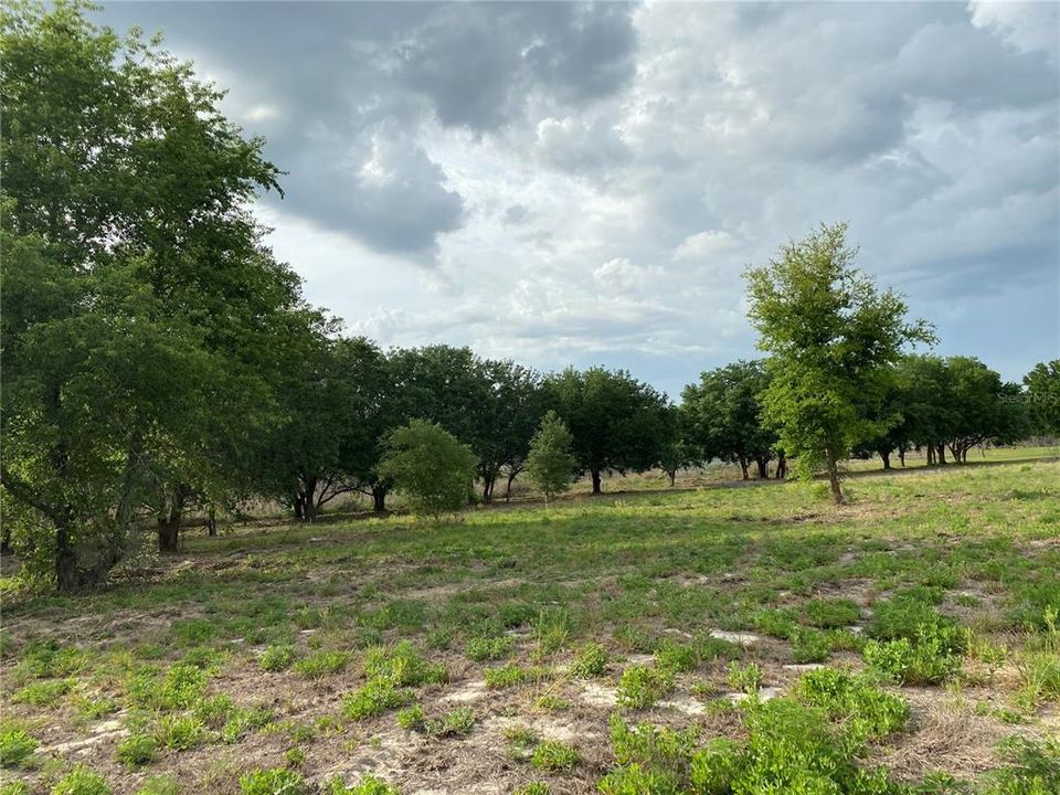 En Venta: $649,900 (12.17 acres)