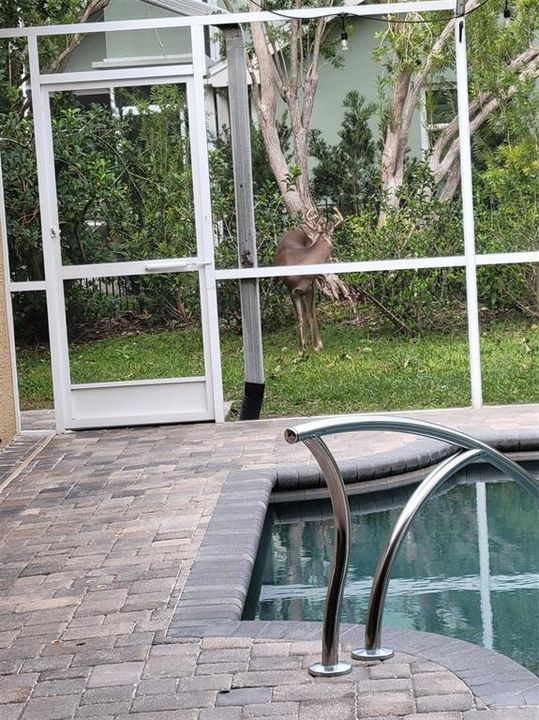Activo con contrato: $924,900 (5 camas, 4 baños, 3265 Pies cuadrados)