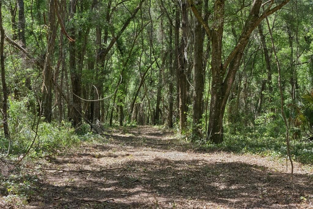 На продажу: $1,850,000 (37.61 acres)