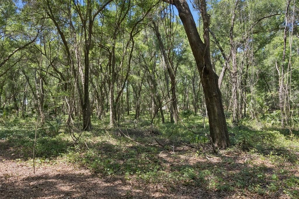 На продажу: $1,850,000 (37.61 acres)