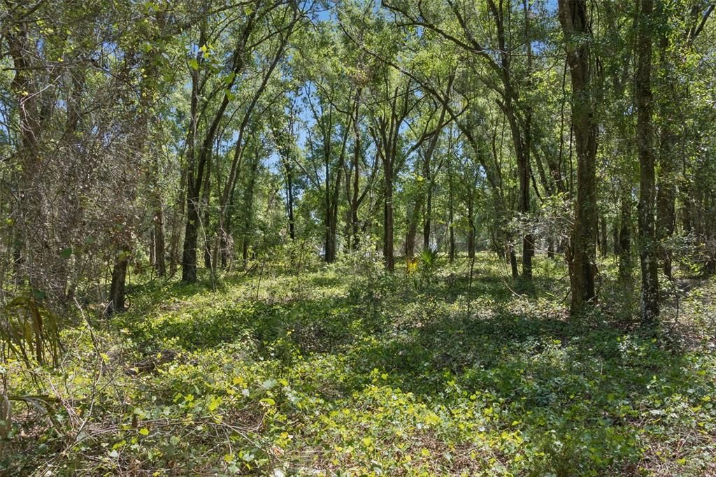На продажу: $1,850,000 (37.61 acres)