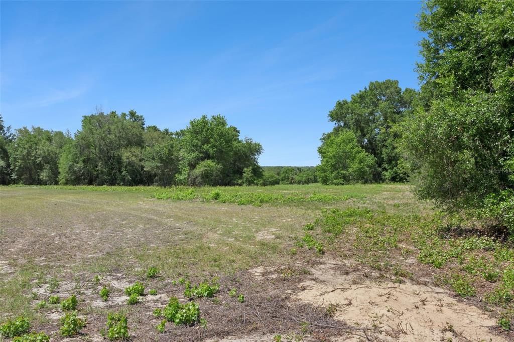 На продажу: $1,850,000 (37.61 acres)