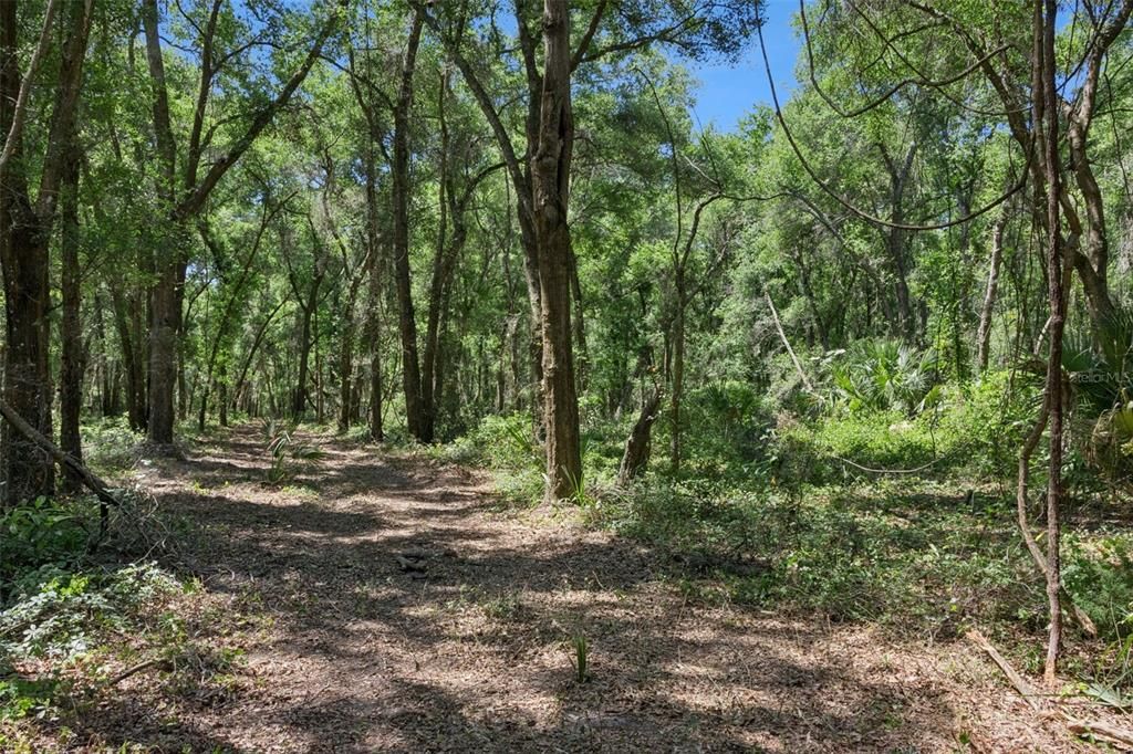 На продажу: $1,850,000 (37.61 acres)