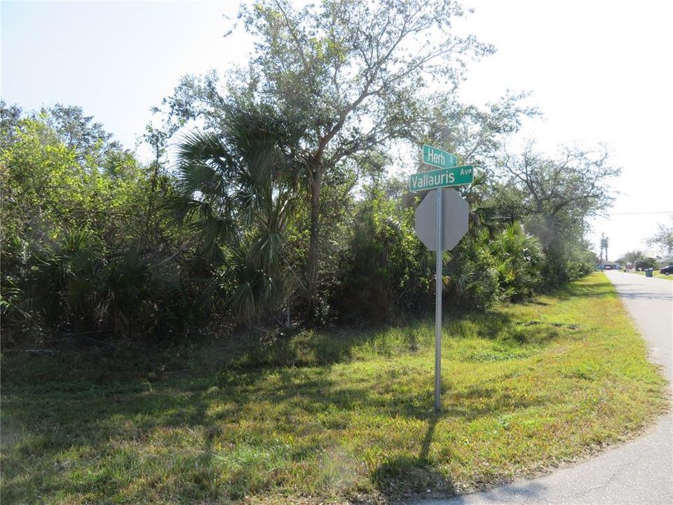 For Sale: $75,000 (0.50 acres)