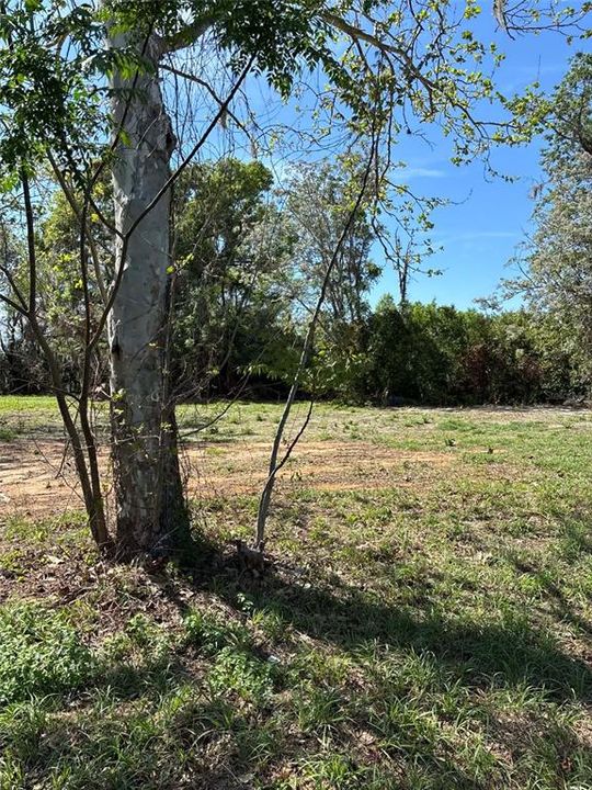 For Sale: $250,000 (0 beds, 0 baths, 0 Square Feet)