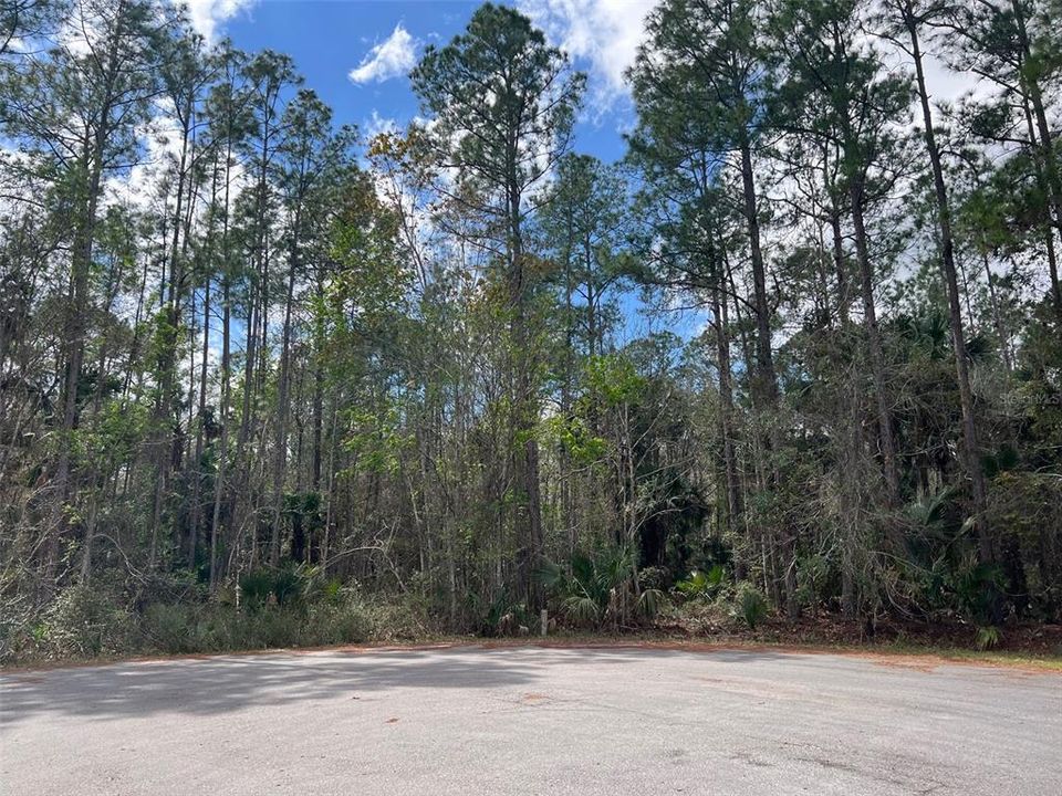 Vendido Recientemente: $150,000 (22.38 acres)