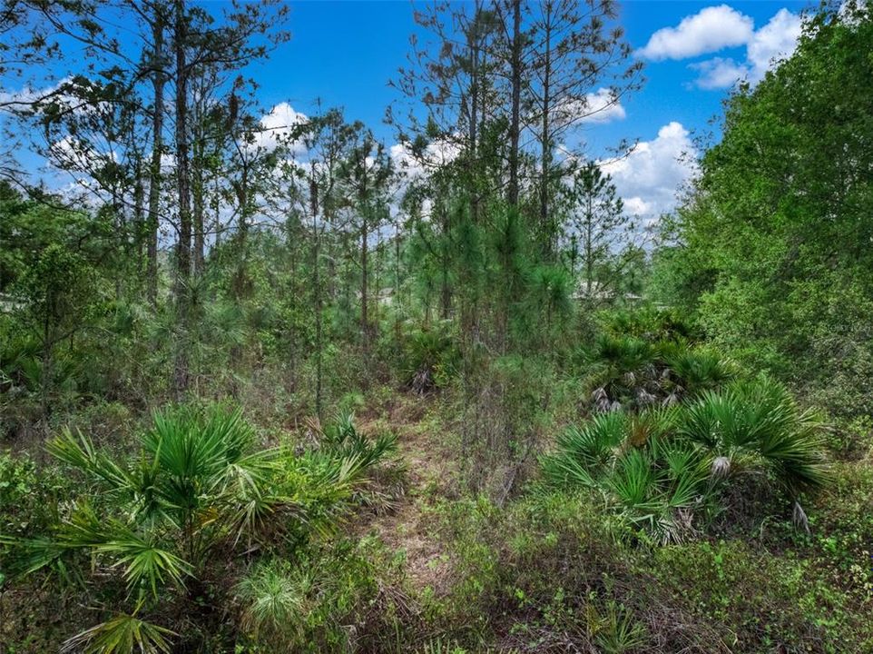 На продажу: $55,000 (0.49 acres)