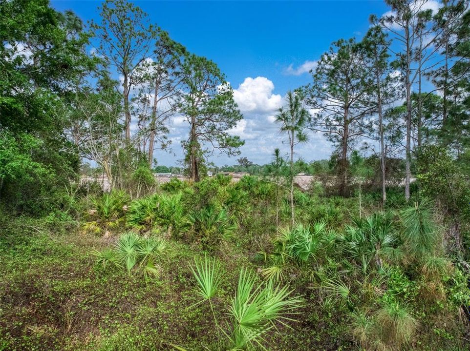 На продажу: $55,000 (0.49 acres)