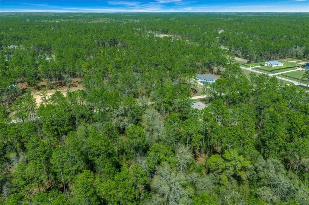 На продажу: $69,500 (1.16 acres)