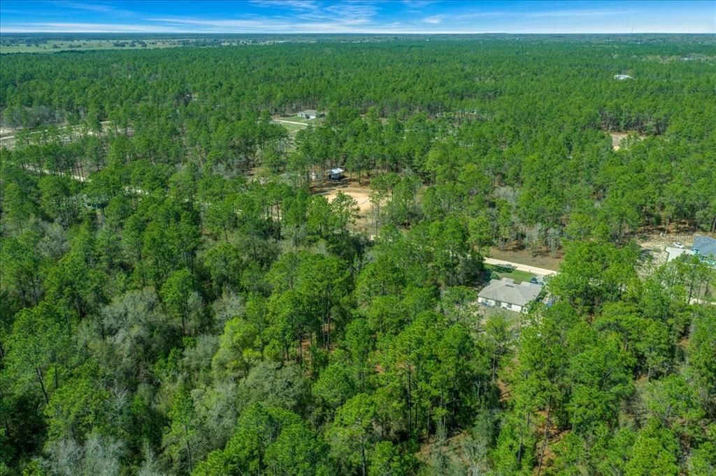 На продажу: $69,500 (1.16 acres)
