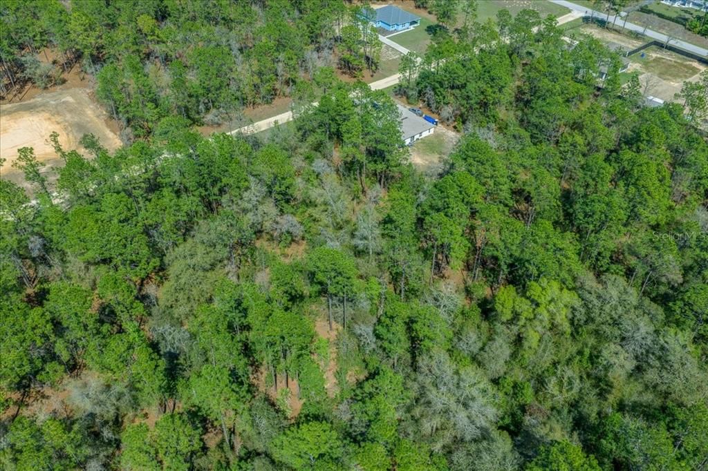 На продажу: $69,500 (1.16 acres)