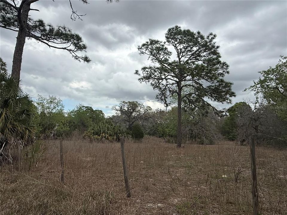 En Venta: $84,500 (1.25 acres)