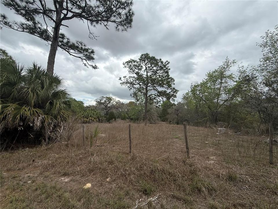 En Venta: $84,500 (1.25 acres)