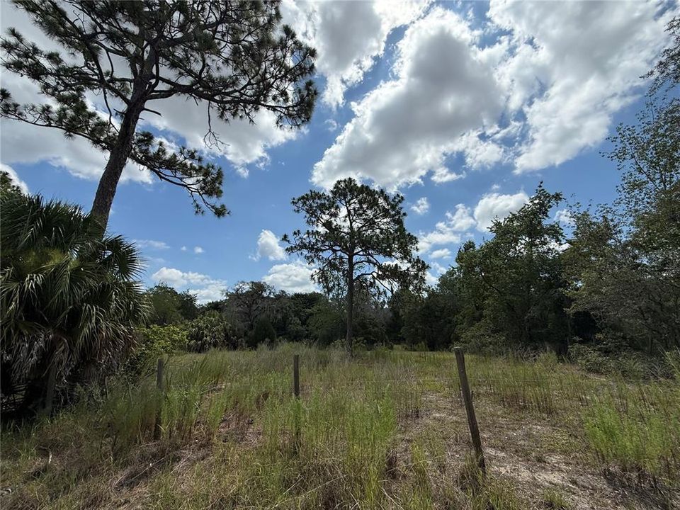 Active With Contract: $84,500 (1.25 acres)