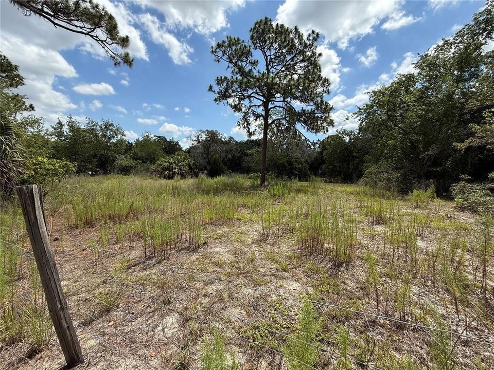 Active With Contract: $84,500 (1.25 acres)