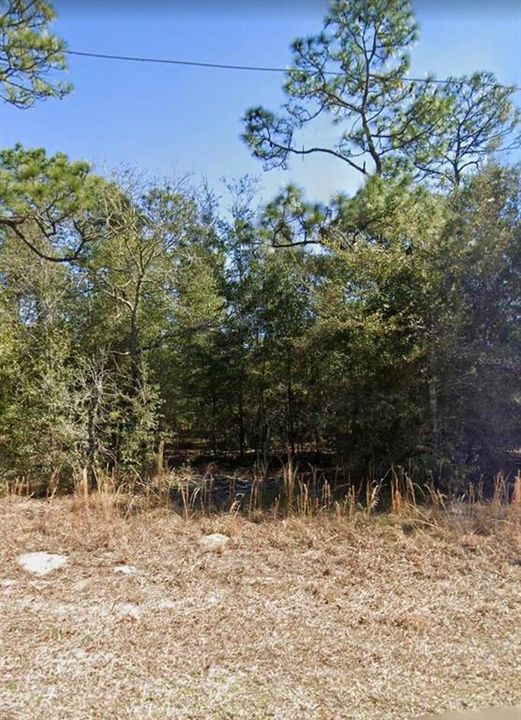 На продажу: $16,900 (0.23 acres)