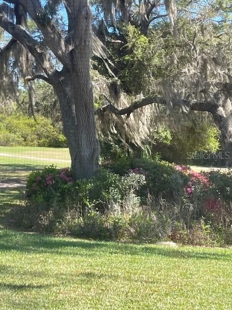 На продажу: $139,000 (2 спален, 1 ванн, 1027 Квадратных фут)