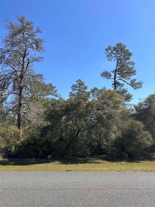 En Venta: $79,000 (0.67 acres)
