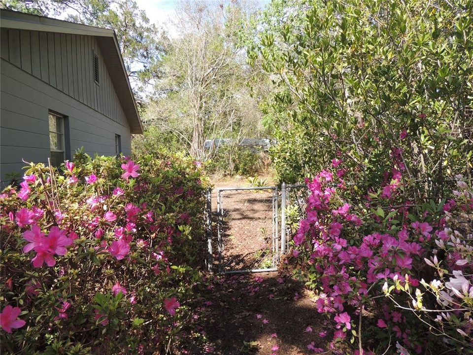 Activo con contrato: $279,000 (3 camas, 2 baños, 1668 Pies cuadrados)