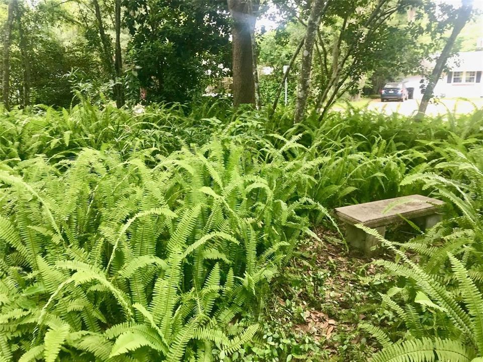 待售: $625,000 (3 贝兹, 2 浴室, 1655 平方英尺)