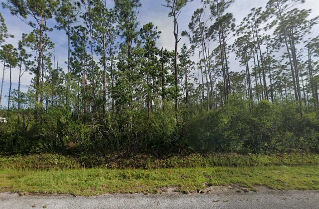 For Sale: $43,999 (0.69 acres)