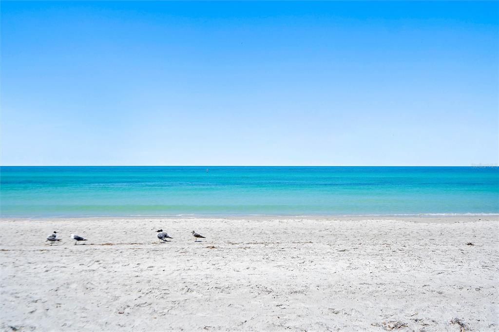 For Sale: $284,000 (1 beds, 1 baths, 620 Square Feet)