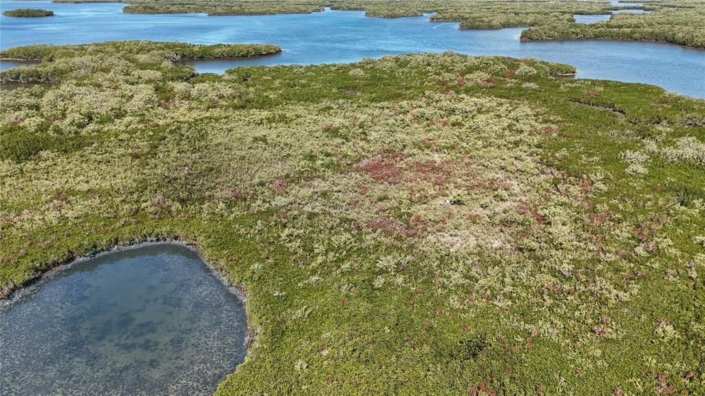 For Sale: $199,000 (17.17 acres)