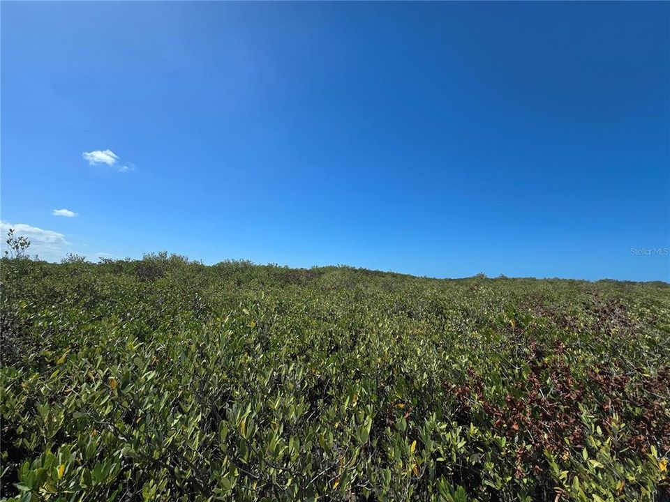 For Sale: $199,000 (17.17 acres)