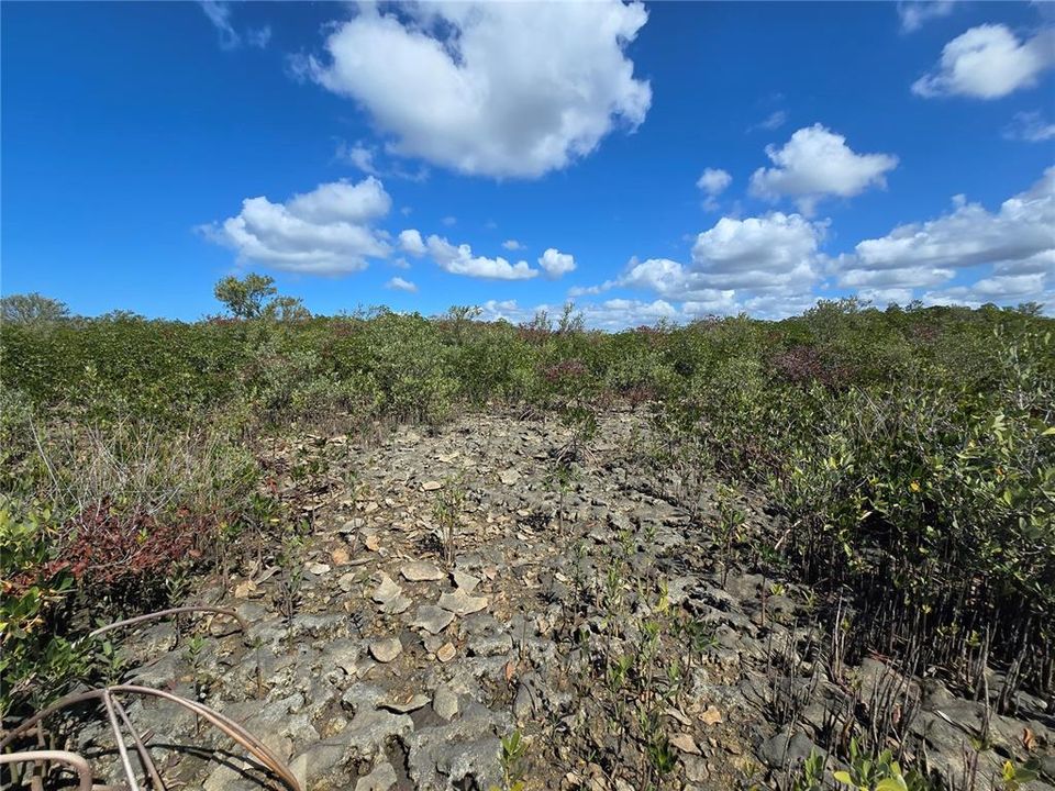 For Sale: $199,000 (17.17 acres)