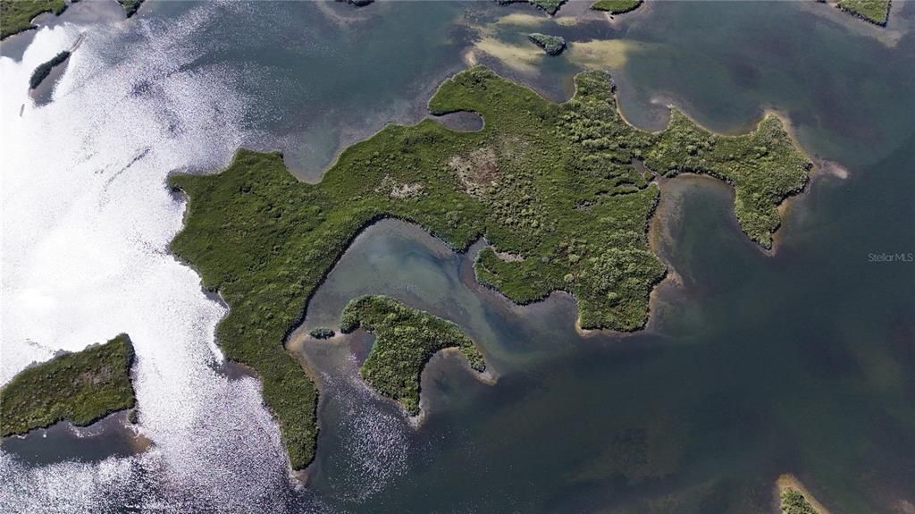 For Sale: $199,000 (17.17 acres)