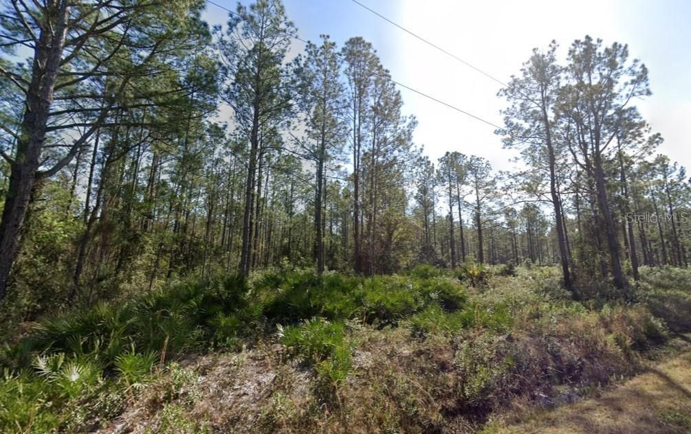 En Venta: $24,900 (1.14 acres)