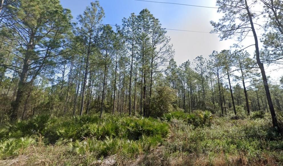 En Venta: $24,900 (1.14 acres)