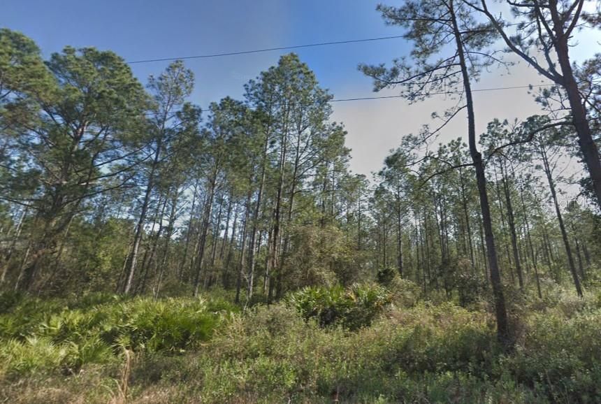 En Venta: $24,900 (1.14 acres)