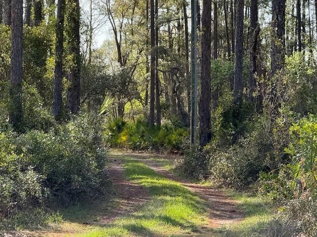 For Sale: $119,000 (5.00 acres)